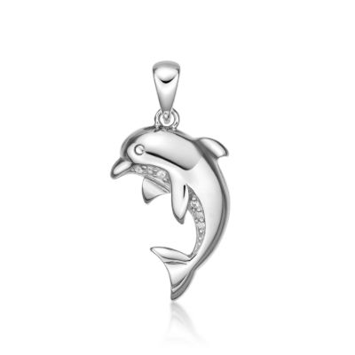 Picture of DOLPHIN