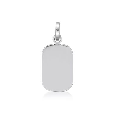 Picture of ~15x10 DOG TAG
