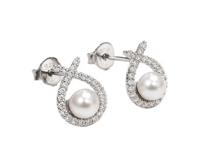 Picture of FW & CZ, STUDS